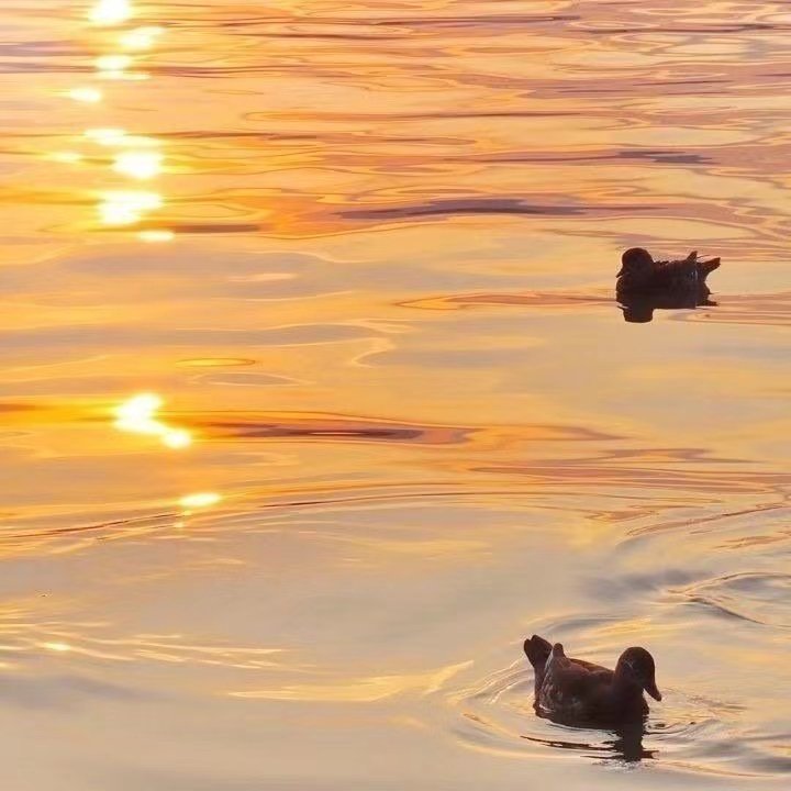 《奥本海默》观后感