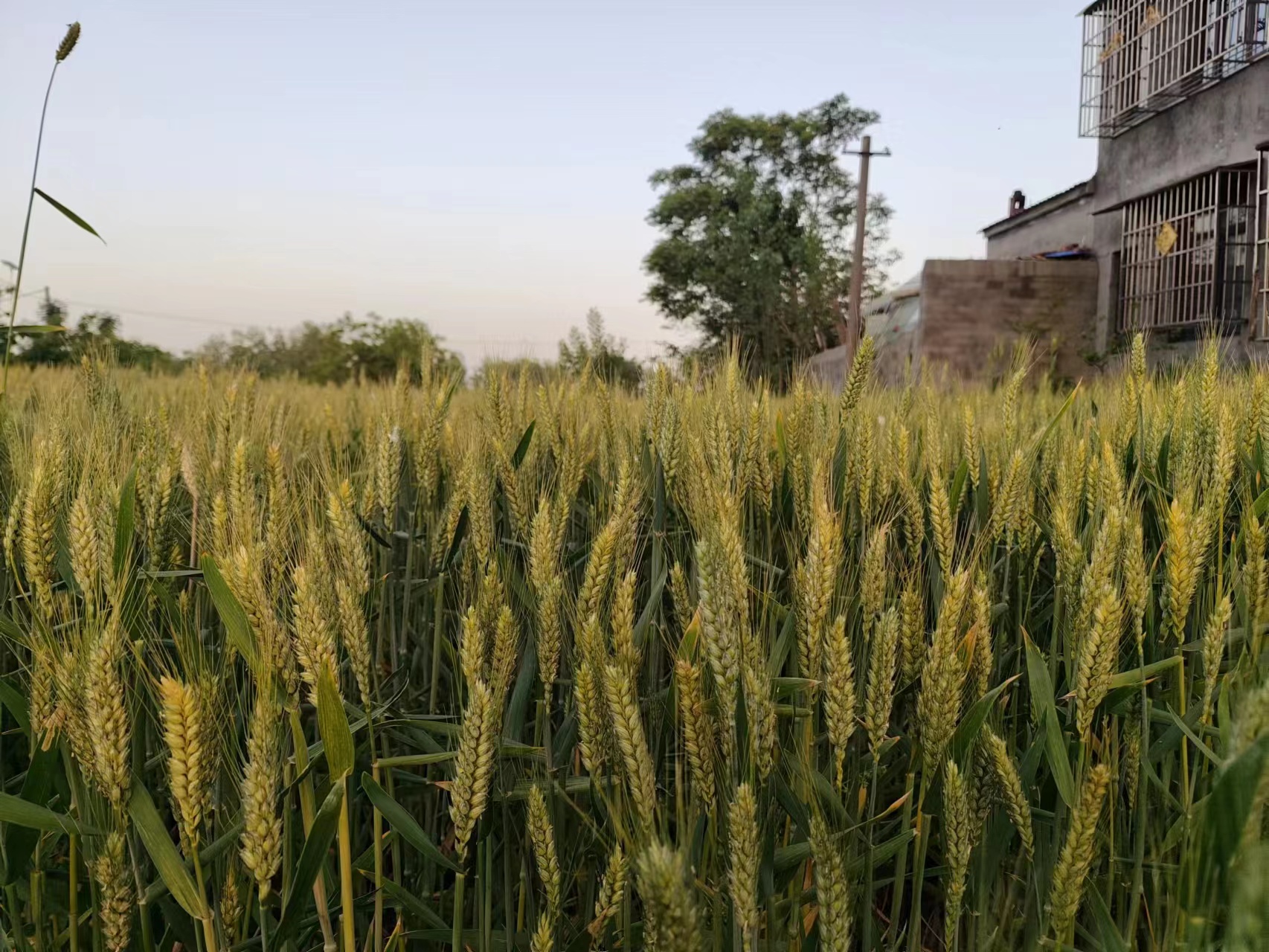 微信图片_20230503113944