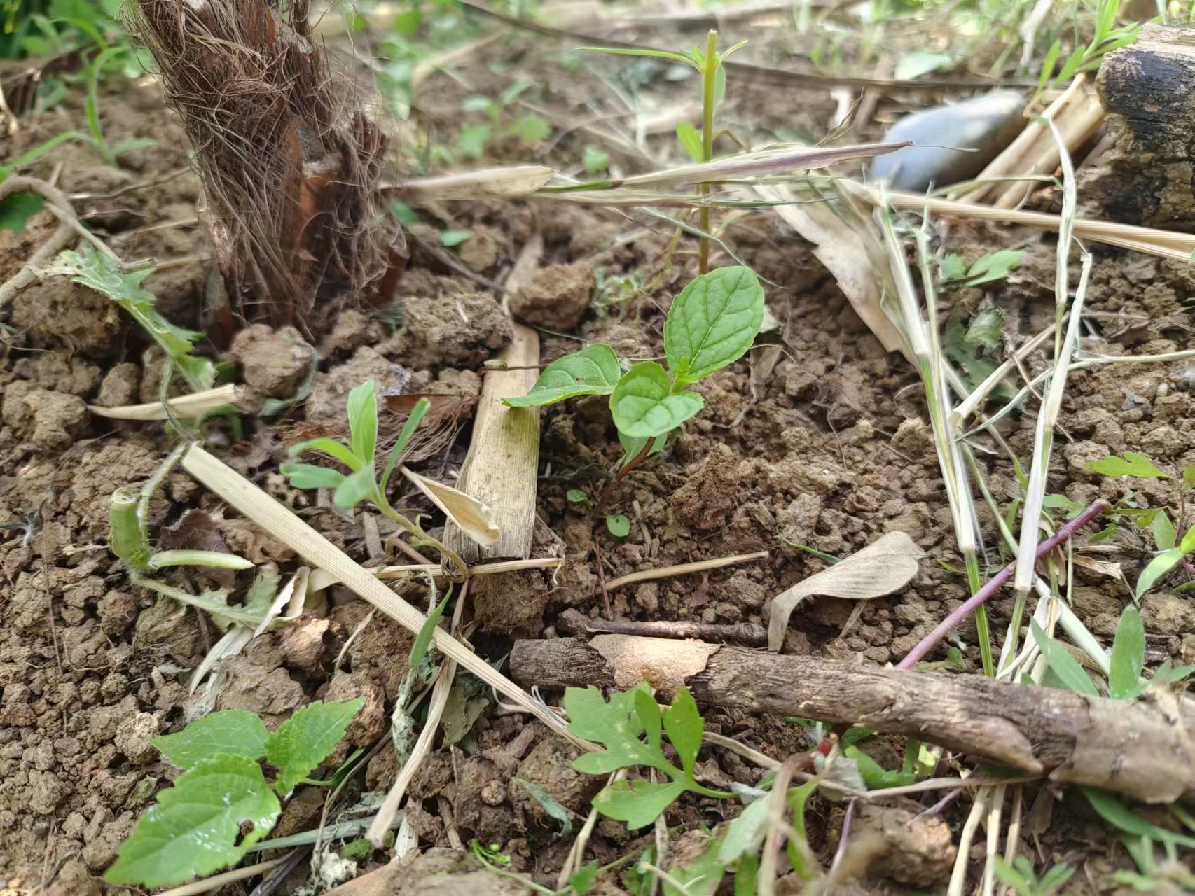 微信图片_20230503113957