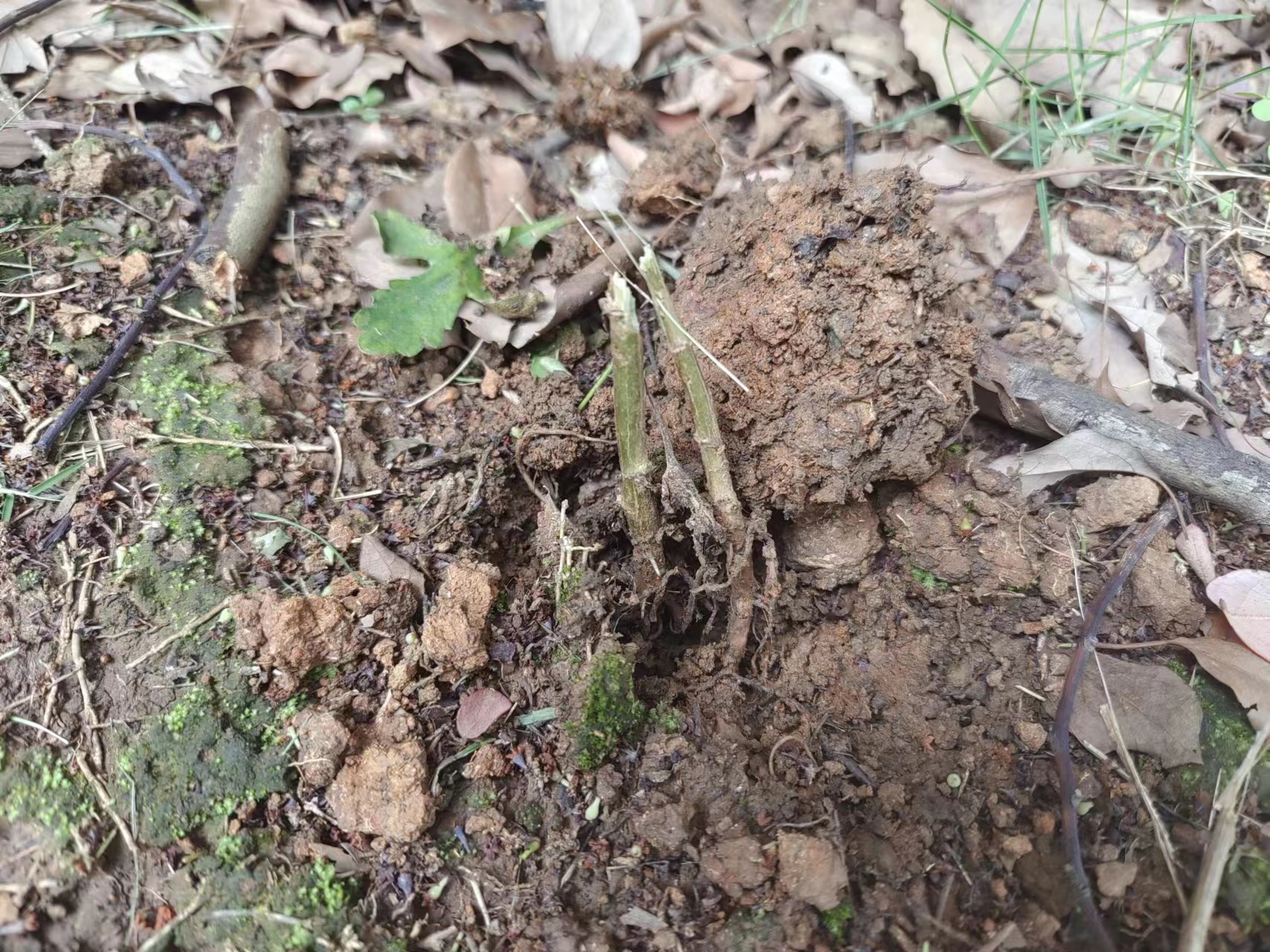 微信图片_20230511225328