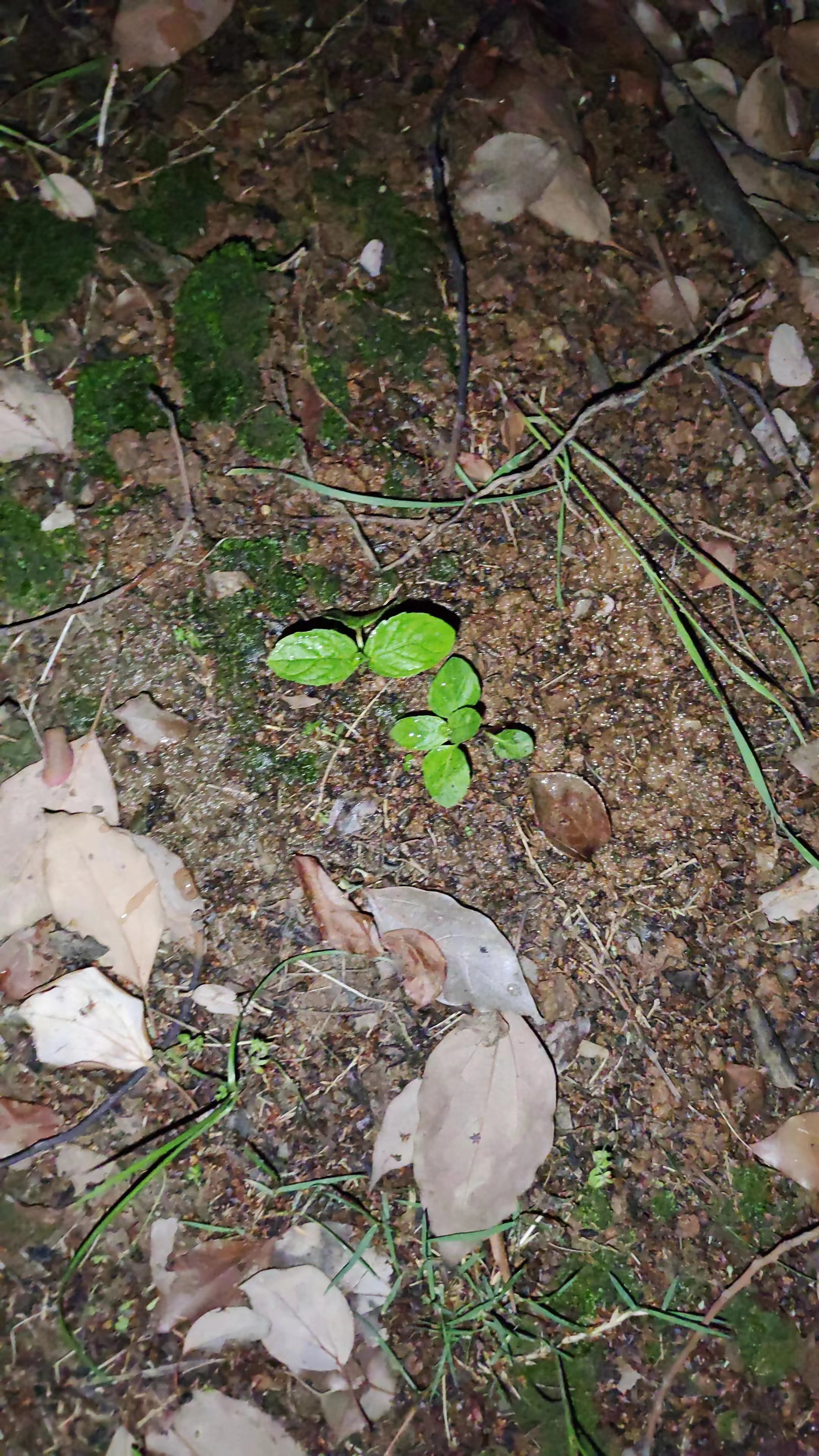 微信图片_20230503231617