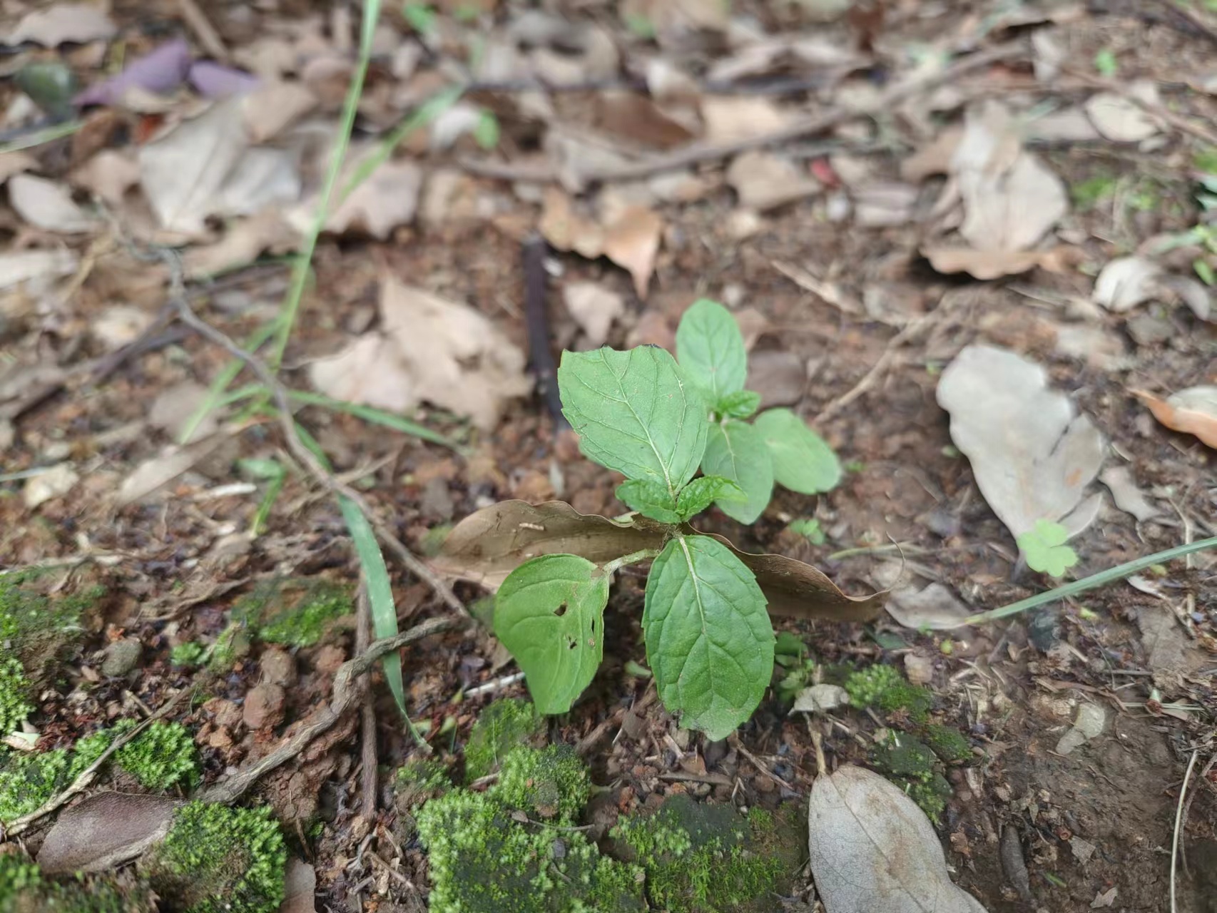 微信图片_20230511225331