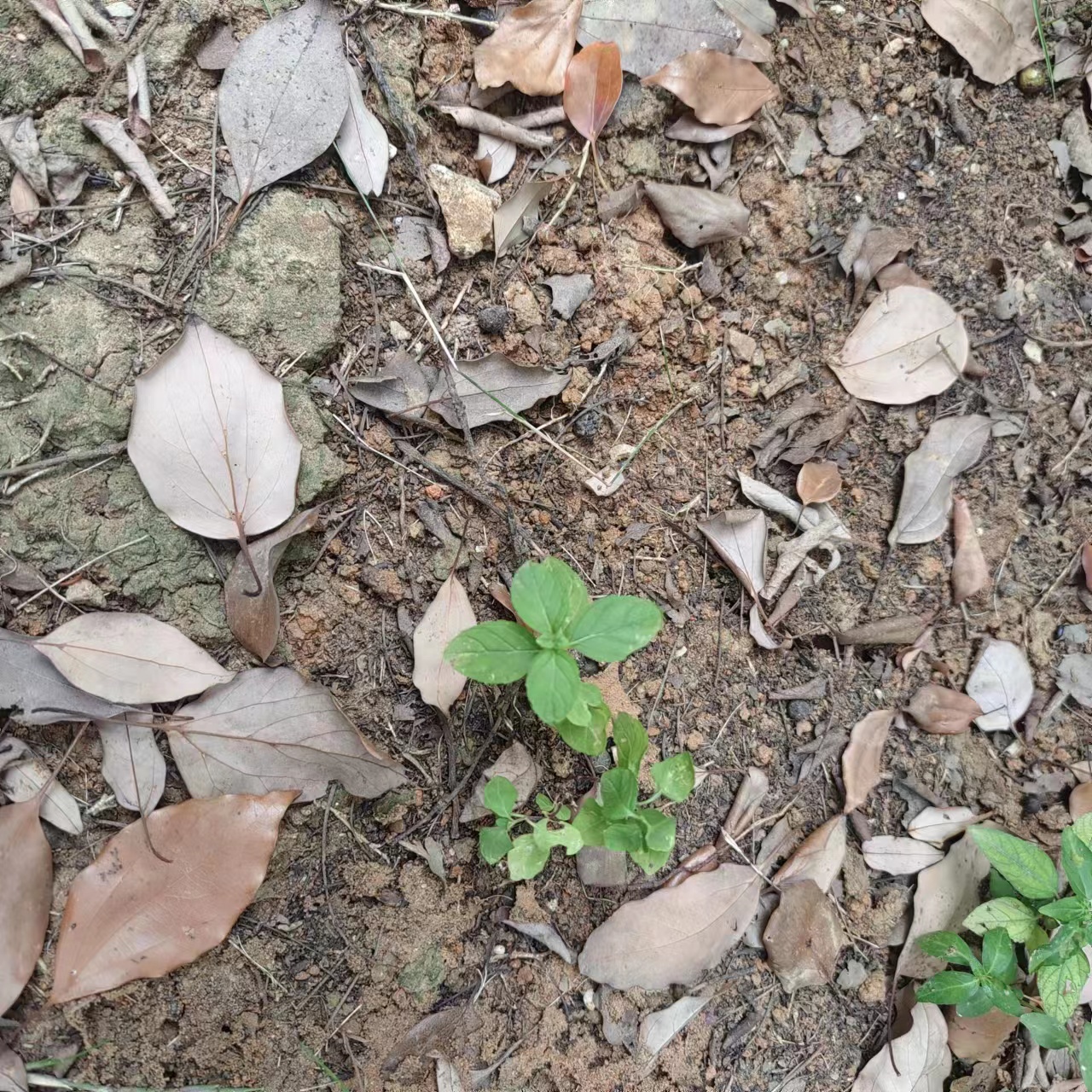 微信图片_20230911155113